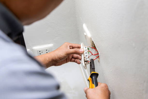 Best Electric Panel Repair  in Lawson, MO